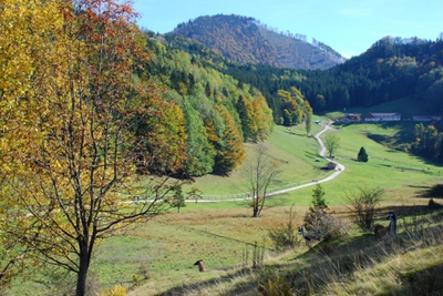 bild1